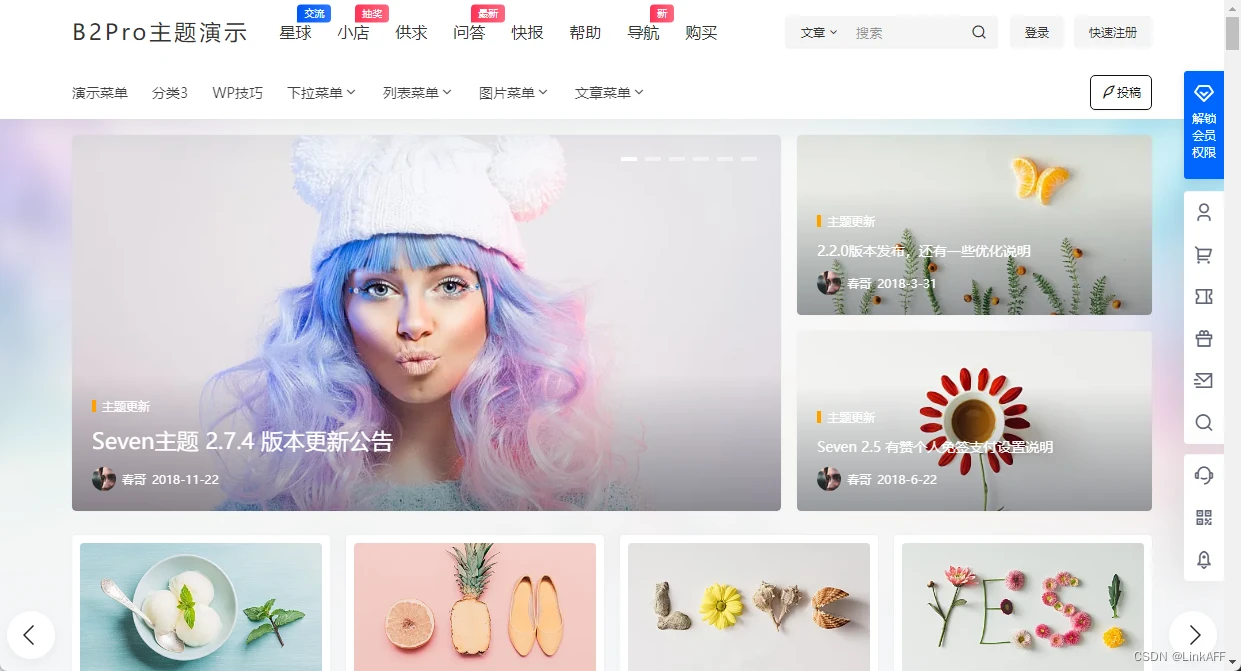 B2 PRO主题5.4.2直装版-租域名